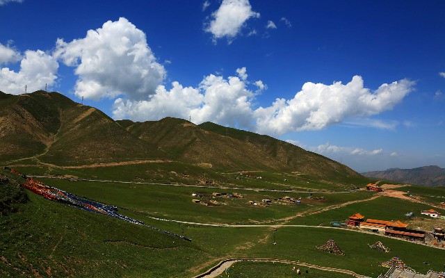 拼多多补单软件