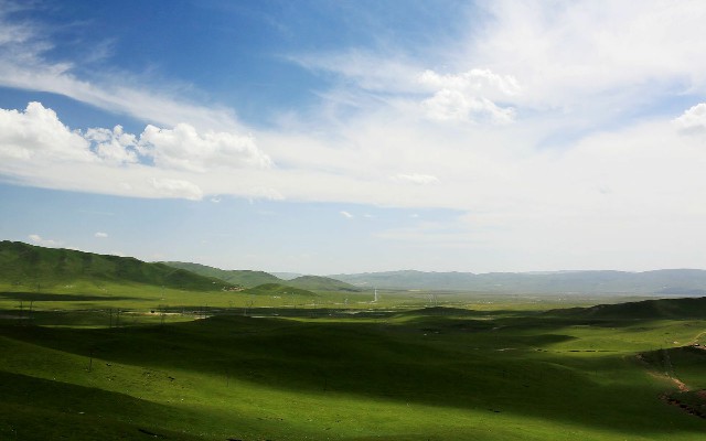 拼多多补单软件