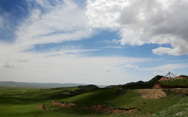 拼多多补单软件