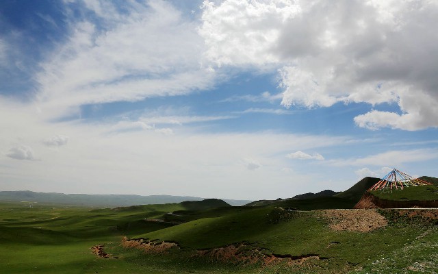 拼多多补单软件