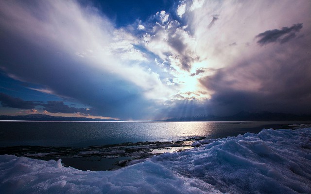 拼多多补单软件