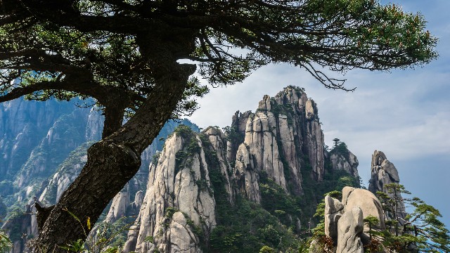 拼多多补单软件