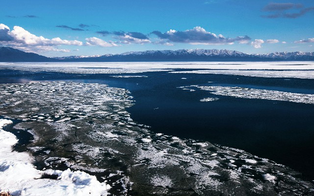 拼多多补单软件