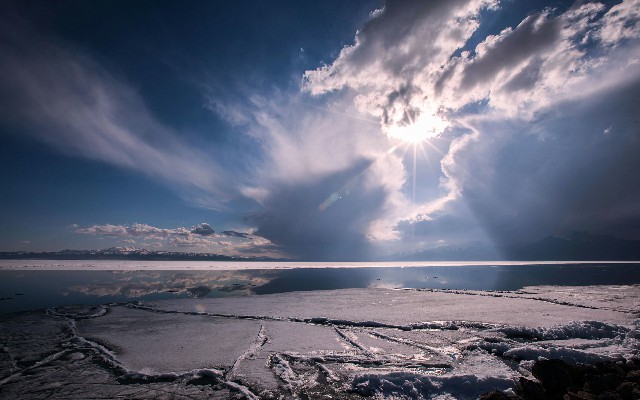 拼多多补单软件