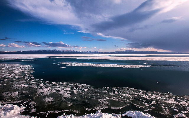 拼多多补单软件