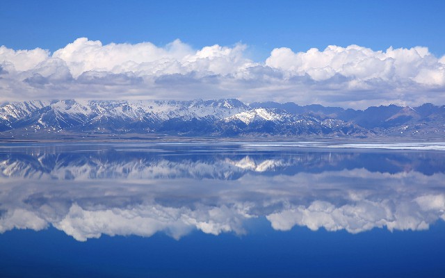 拼多多补单软件