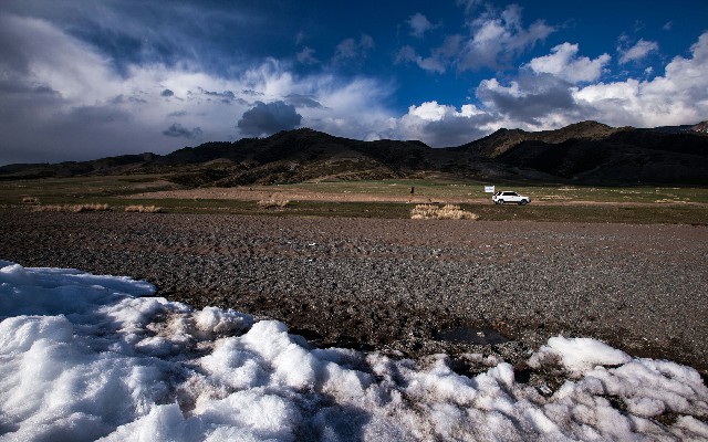 拼多多补单软件