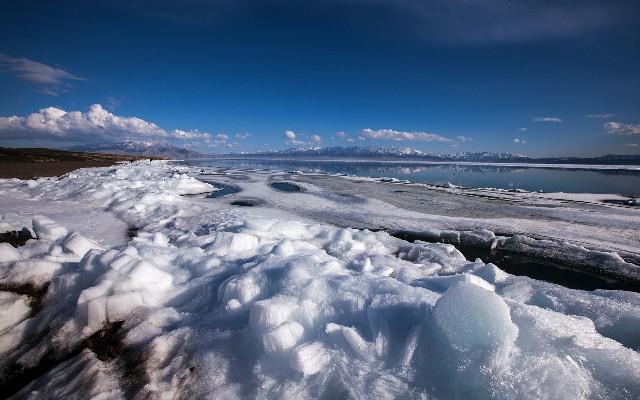 拼多多补单软件