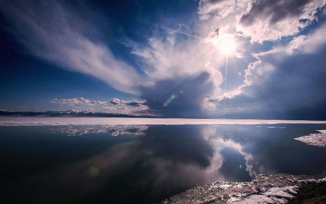 拼多多补单软件