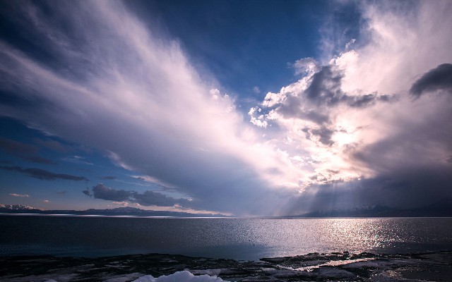 拼多多补单软件