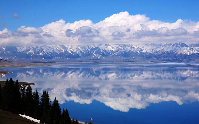 拼多多补单软件