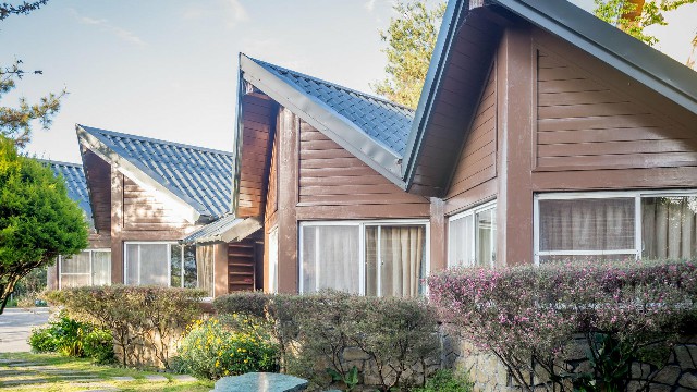 拼多多补单软件