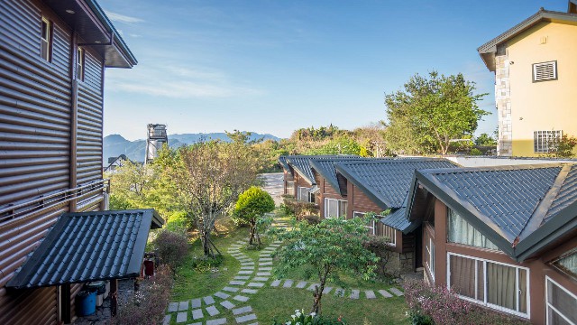 拼多多补单软件