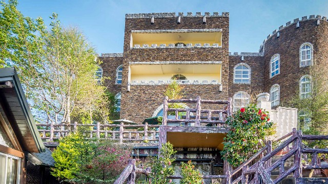 拼多多补单软件