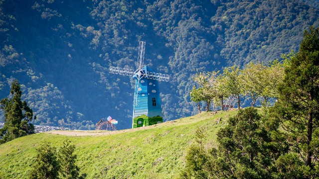 拼多多补单软件