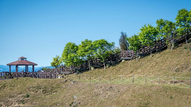 拼多多补单软件