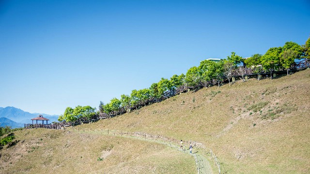 拼多多补单软件