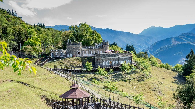 拼多多补单软件