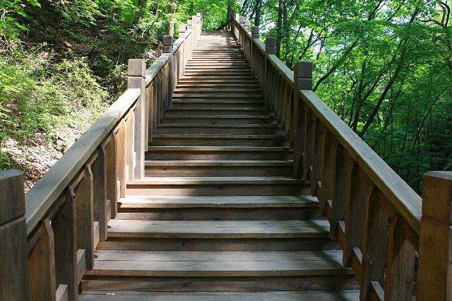 拼多多补单软件