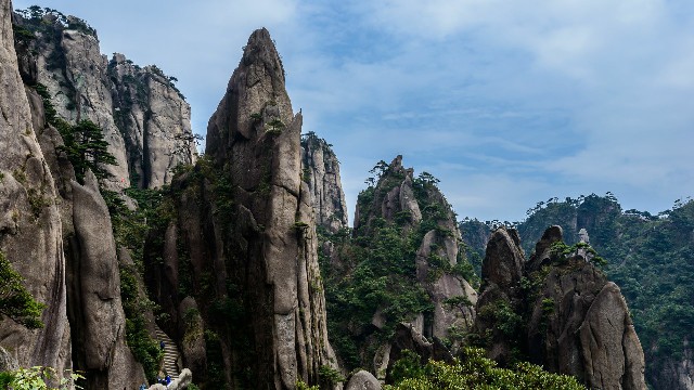 拼多多补单软件