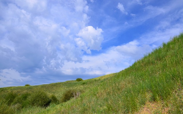 拼多多补单软件