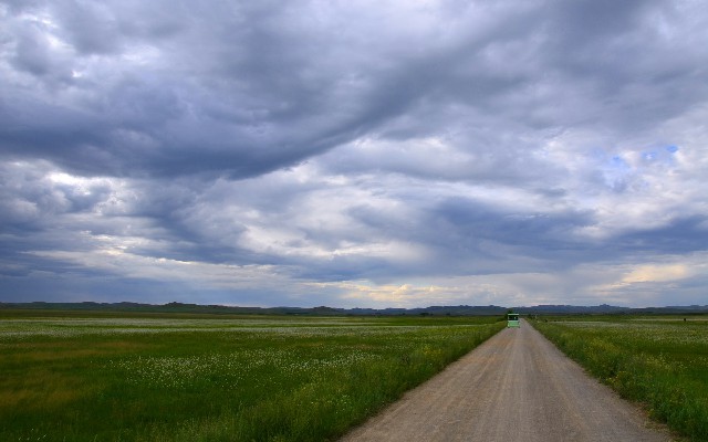 拼多多补单软件