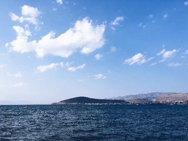 拼多多补单软件