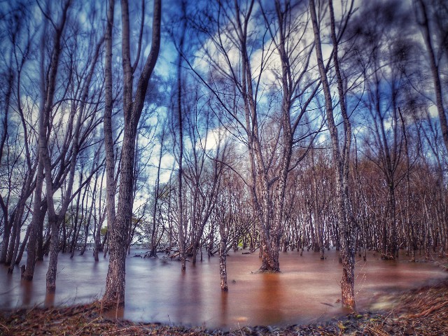 拼多多补单软件