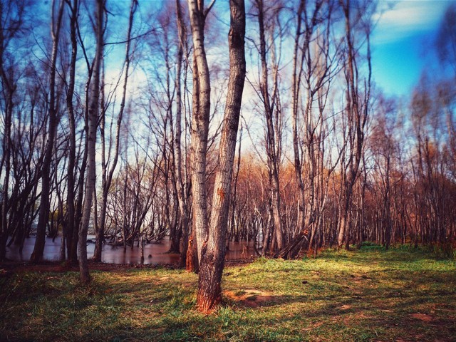 拼多多补单软件