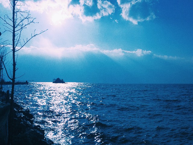 拼多多补单软件