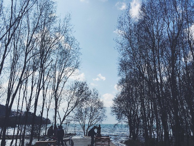 拼多多补单软件