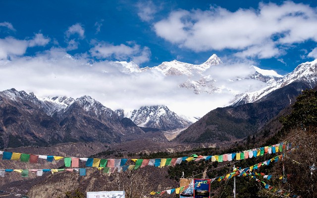 拼多多补单软件