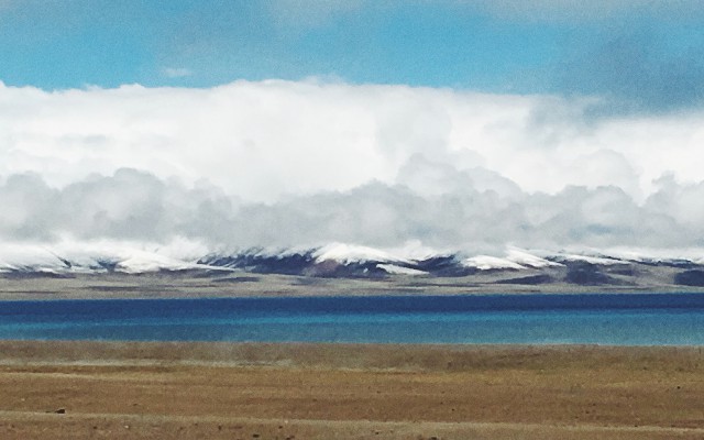 拼多多补单软件