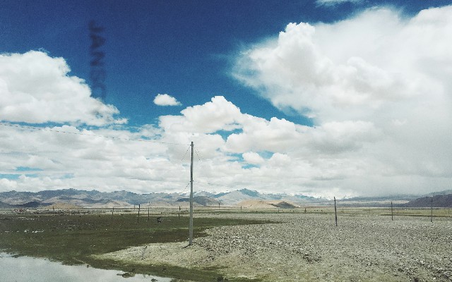 拼多多补单软件