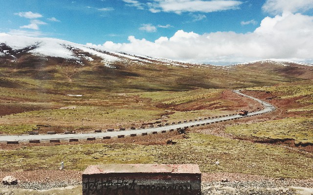 拼多多补单软件