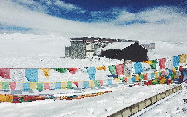 拼多多补单软件