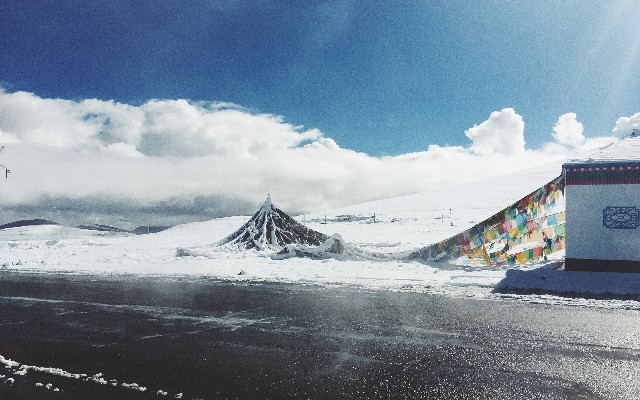 拼多多补单软件