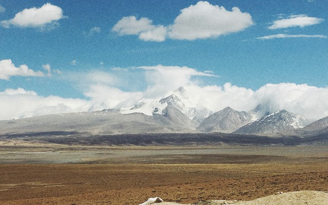 拼多多补单软件