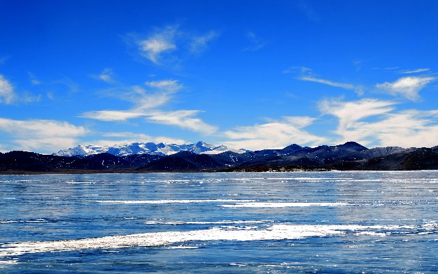 拼多多补单软件