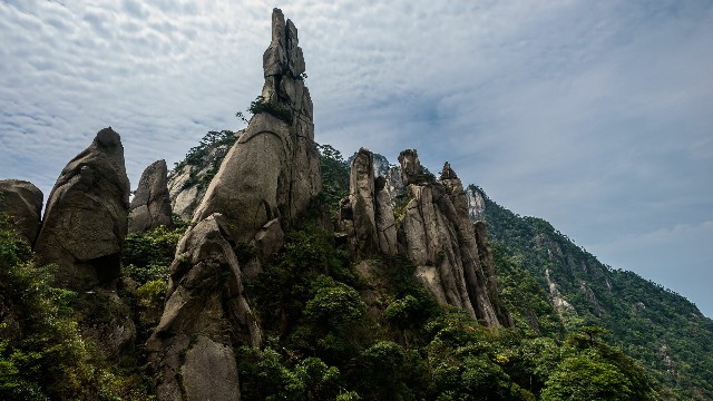 拼多多补单软件