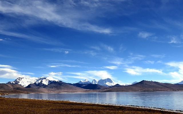 拼多多补单软件