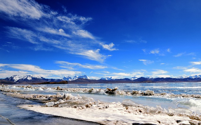 拼多多补单软件