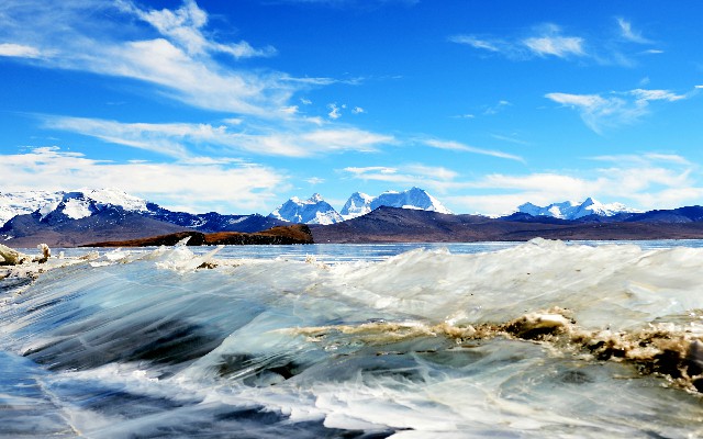 拼多多补单软件