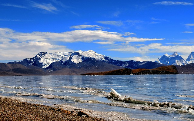 拼多多补单软件