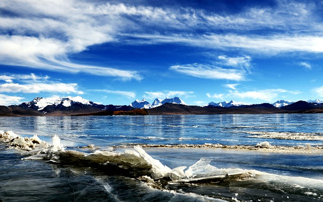 拼多多补单软件