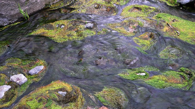 拼多多补单软件