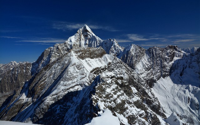 拼多多补单软件