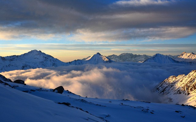 拼多多补单软件