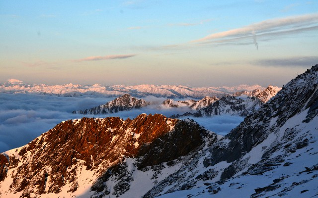 拼多多补单软件