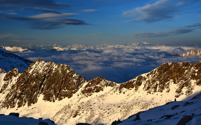 拼多多补单软件